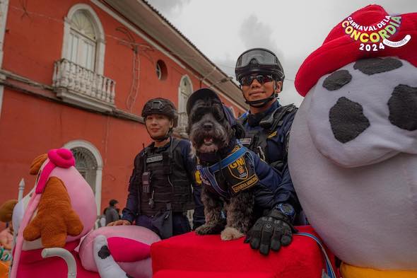 Mascotas1.jpeg