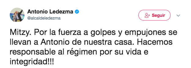 Mitzy capriles.png