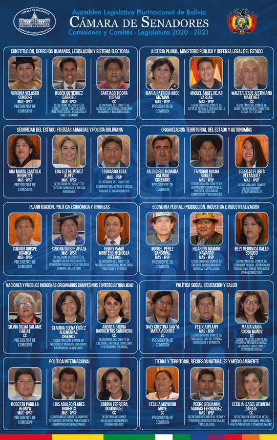 comisiones_swenado_2020_2021.jpg