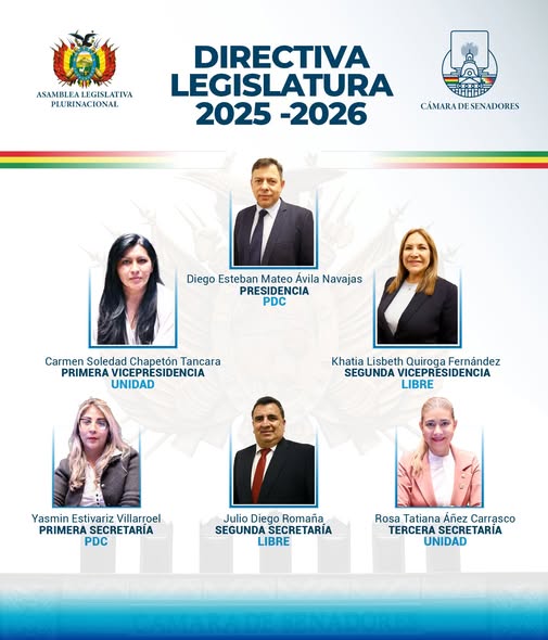 directiva_senado_completo.jpg