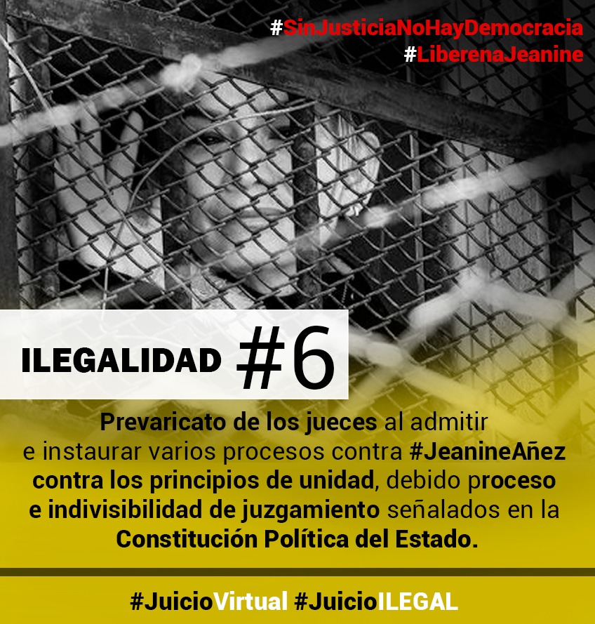 ilegalidad6_añez.jpg