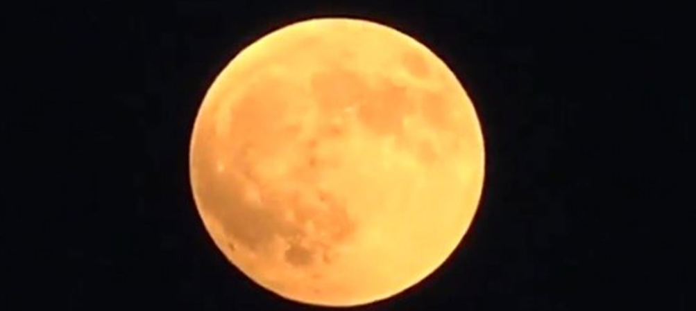 lunaroja01.png