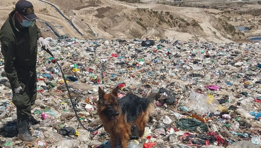 perro_adiestrado_alpacomaa.png