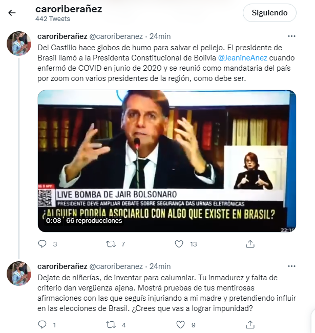 twitter_ribera-añez_bolsonaro.png
